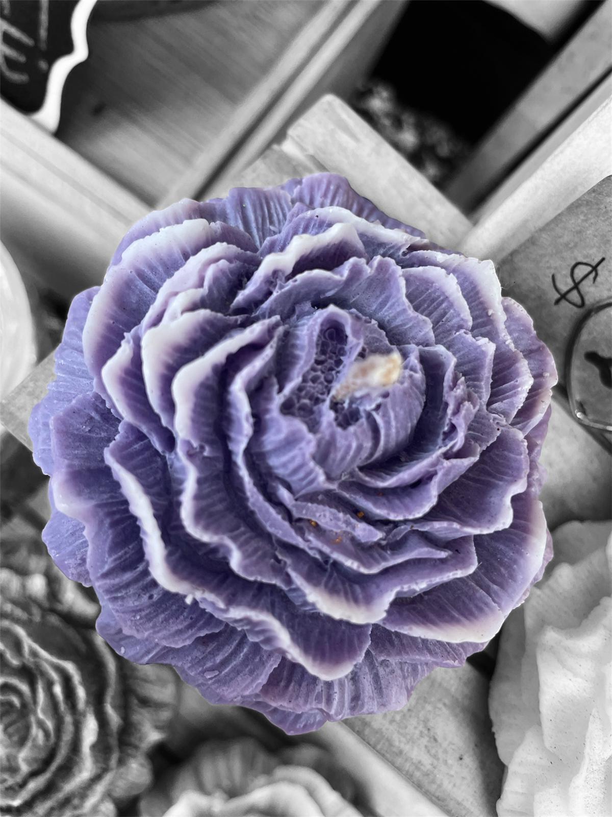 Elegant Rose Candles ๐น๐ฏ๏ธ | Pasticcino Scents