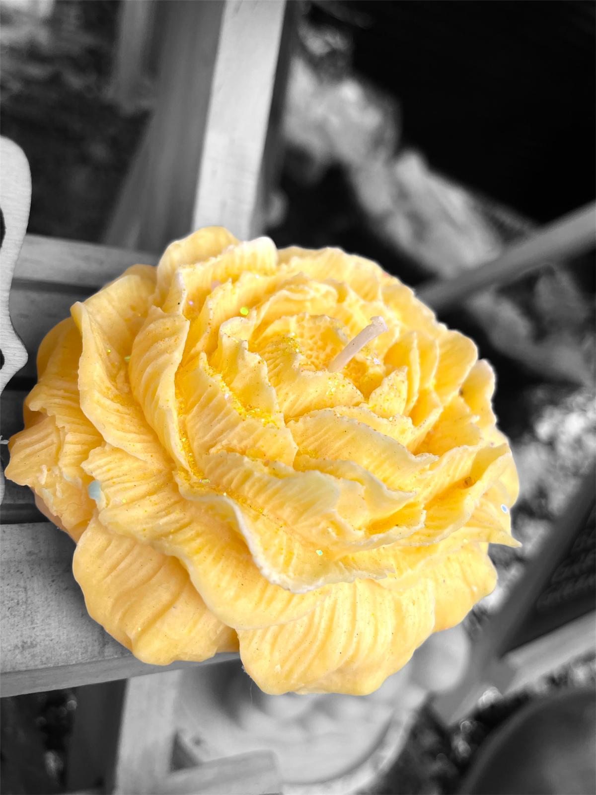 Elegant Rose Candles ๐น๐ฏ๏ธ | Pasticcino Scents