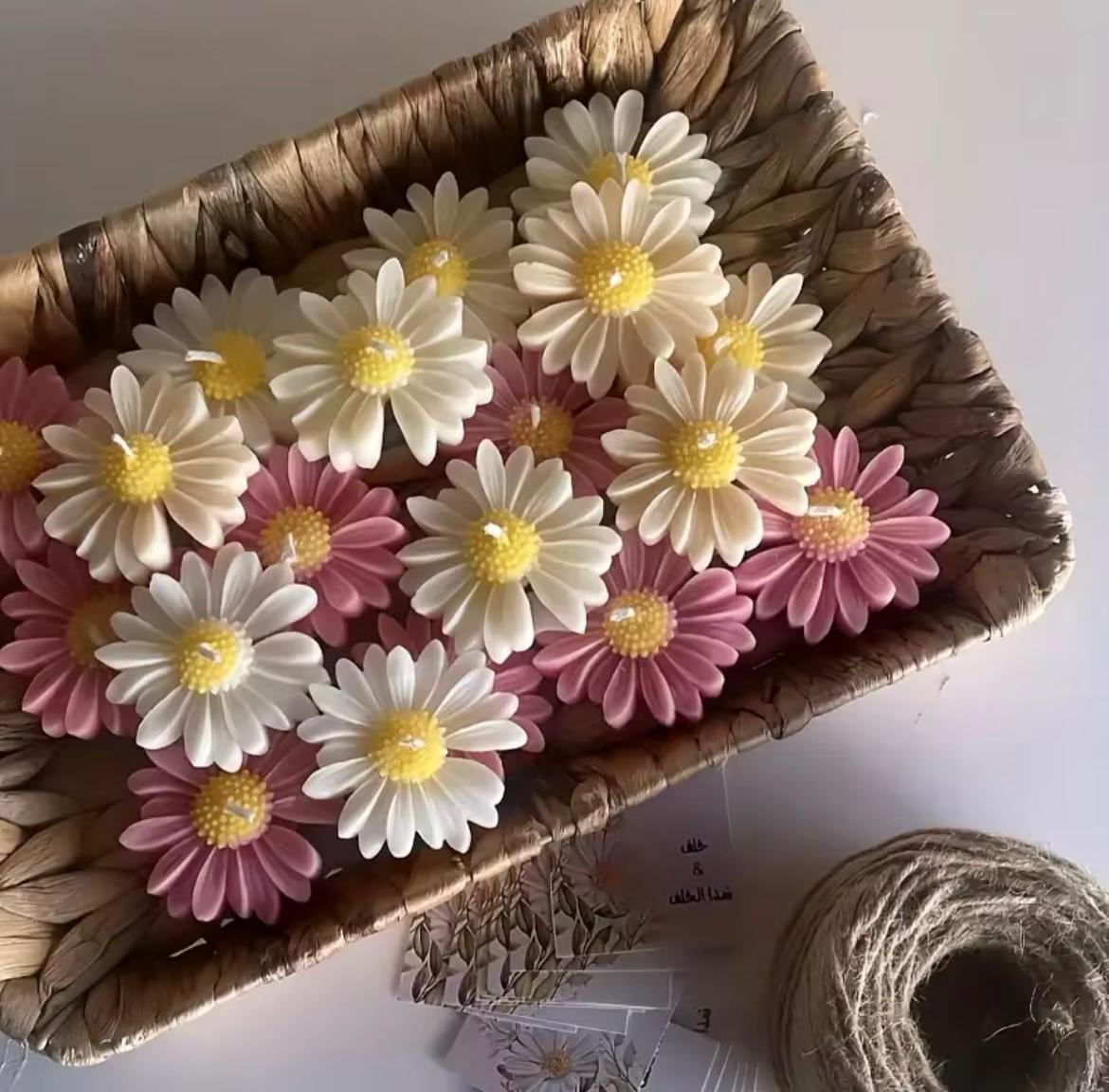 Daisy Candles🌼🕯️ by Pasticcino