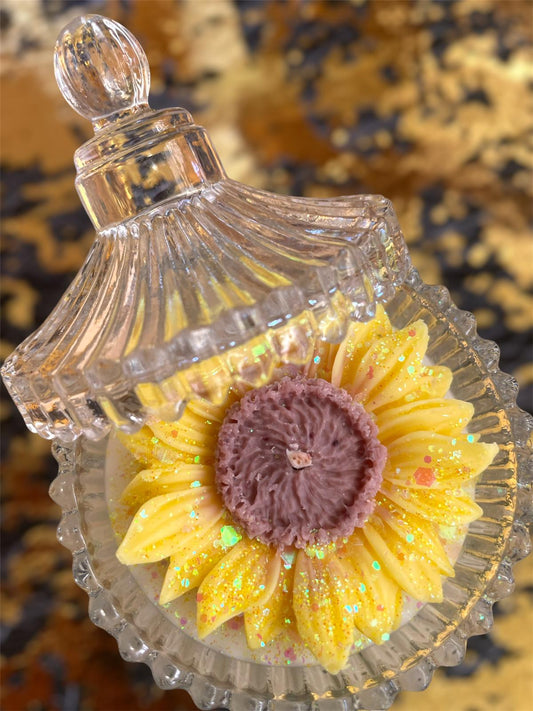 Sunflower 🌻 & Pasticcino Candles – Art & Fragrance