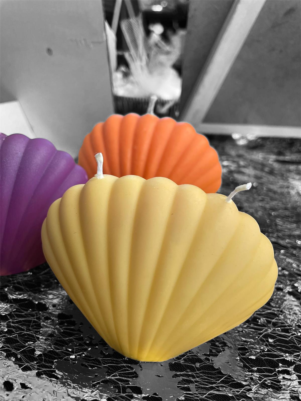 🌊Shell pillar Candles: Art & Fragrance Fusion